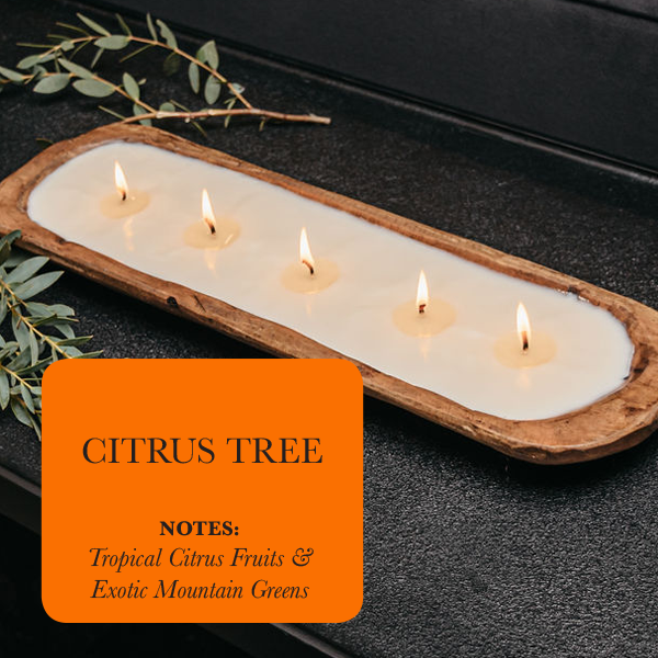 5-Wick Dough Bowl Soy Candle - Citrus Tree