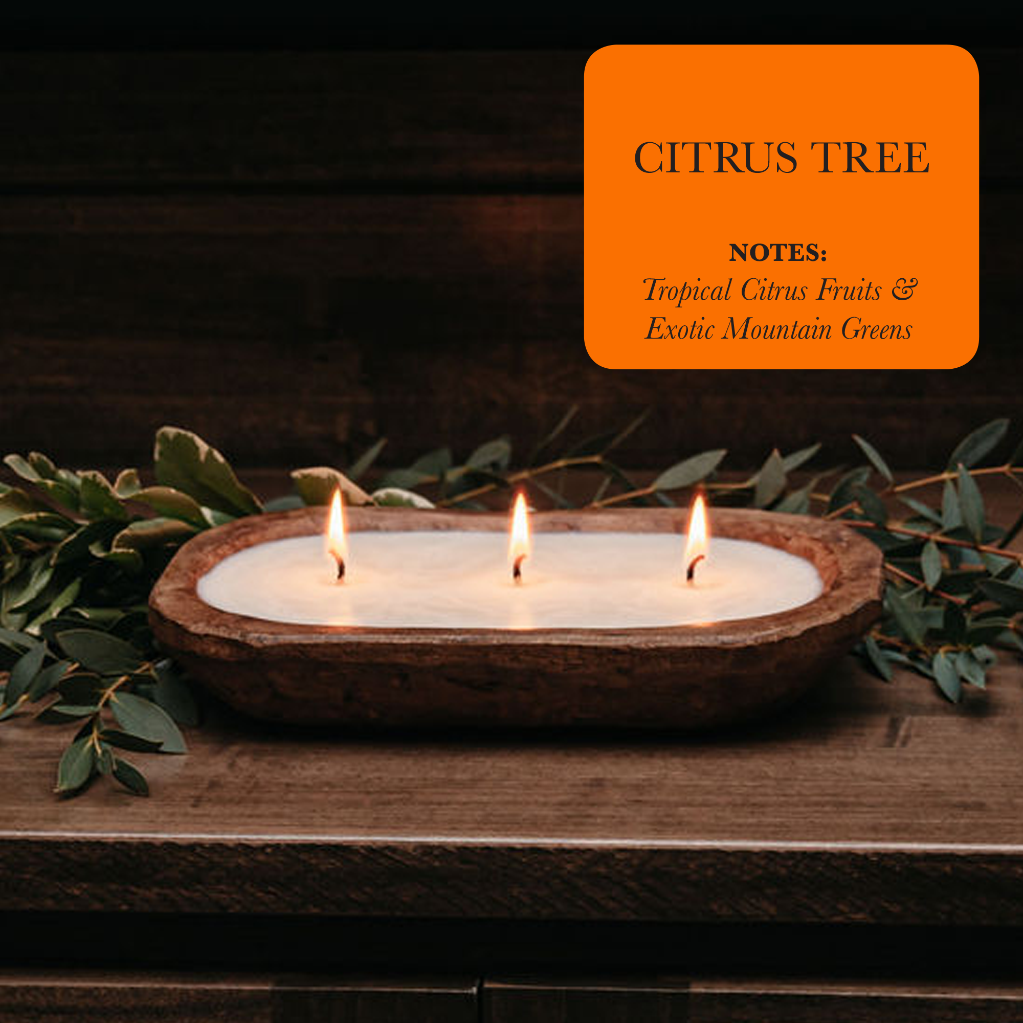 3-Wick Dough Bowl Soy Candle - Citrus Tree