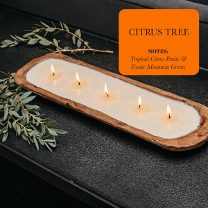 5-Wick Dough Bowl Soy Candle - Citrus Tree