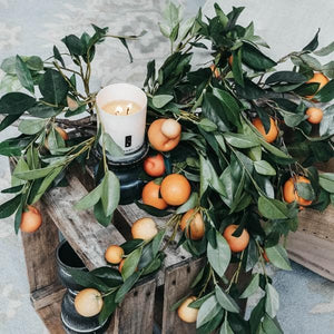 Orange citrus candle double wick | TLC Candle Co