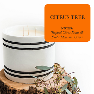 Luxury Large Striped Stone Designer Candle - Citrus Tree
