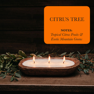 3-Wick Dough Bowl Soy Candle - Citrus Tree